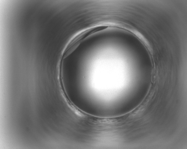 X0000069360862200605150915