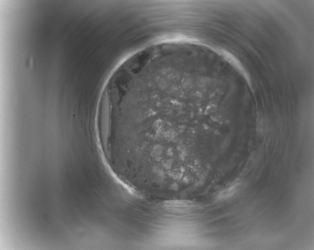 X0000069360863200605150915