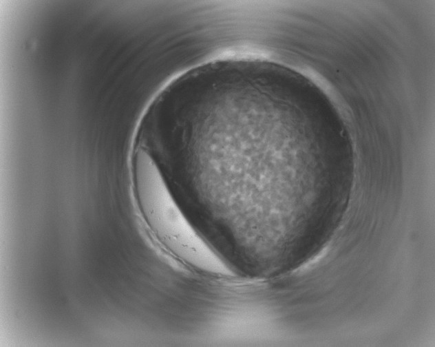 X0000069360864200605150915