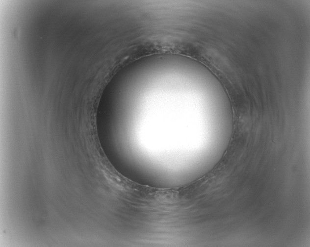 X0000069360865200605150914