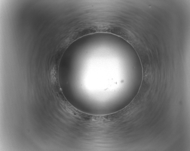 X0000069360866200605150914