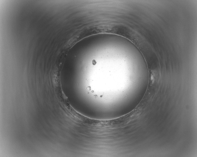 X0000069360867200605150914