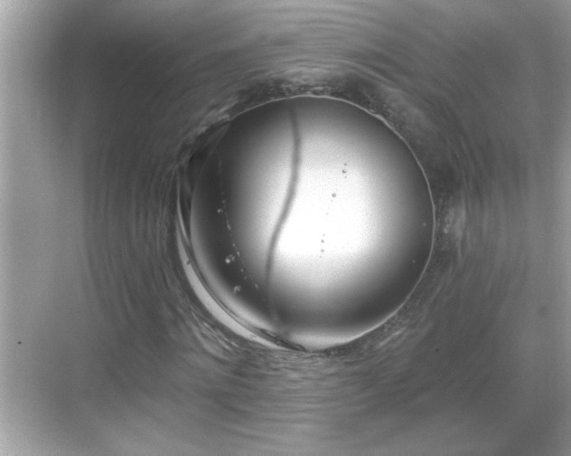 X0000069360868200605150914