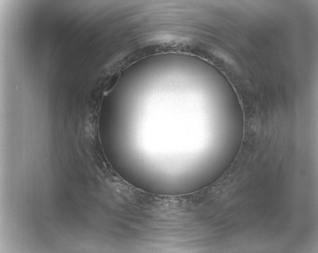 X0000069360869200605150914