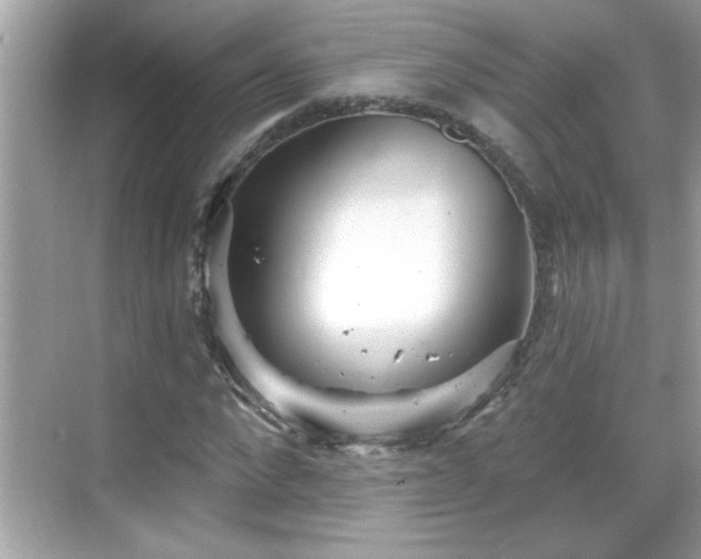 X0000069360872200605150914