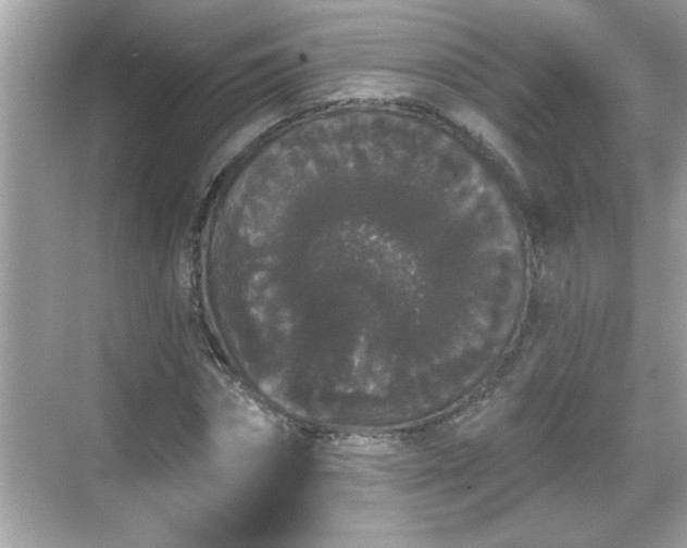 X0000069360874200605150914