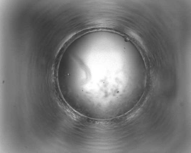 X0000069360875200605150914