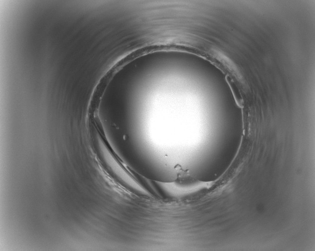 X0000069360876200605150914