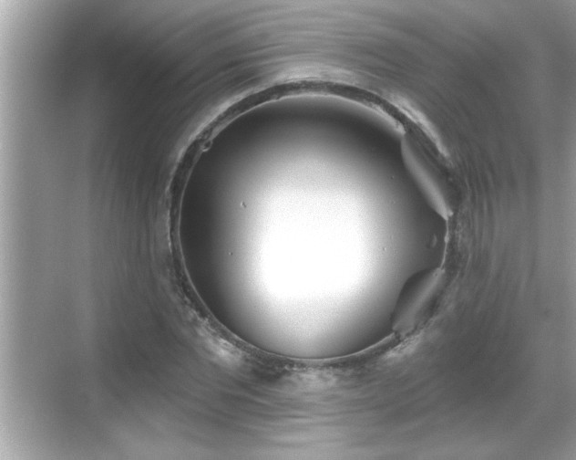 X0000069360877200605150914