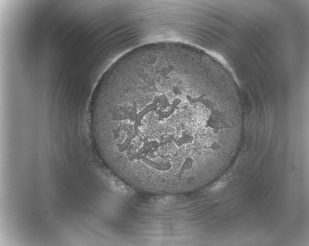 X0000069360879200605150914