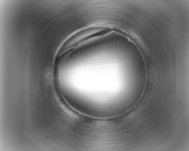 X0000069360880200605150914