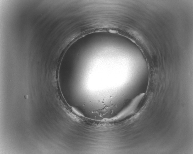 X0000069360881200605150914