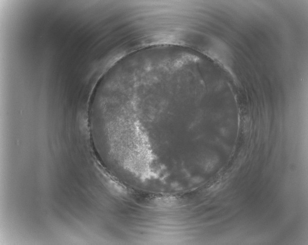 X0000069360882200605150914