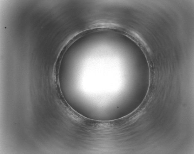 X0000069360883200605150914