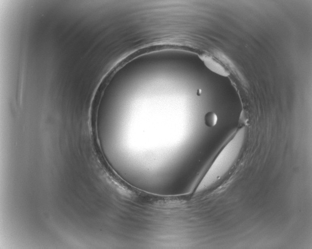 X0000069360884200605150913