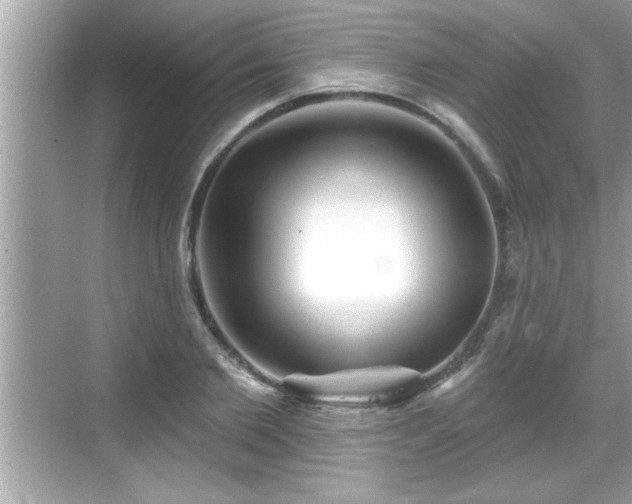 X0000069360885200605150913