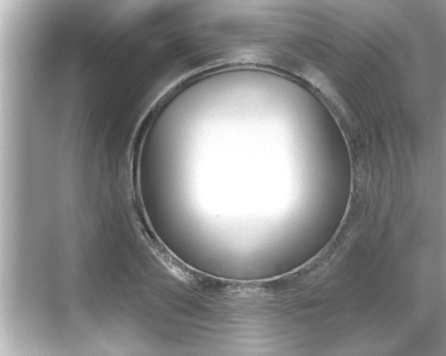 X0000069360886200605150913