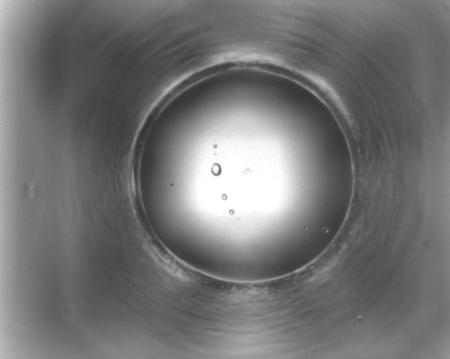 X0000069360887200605150913