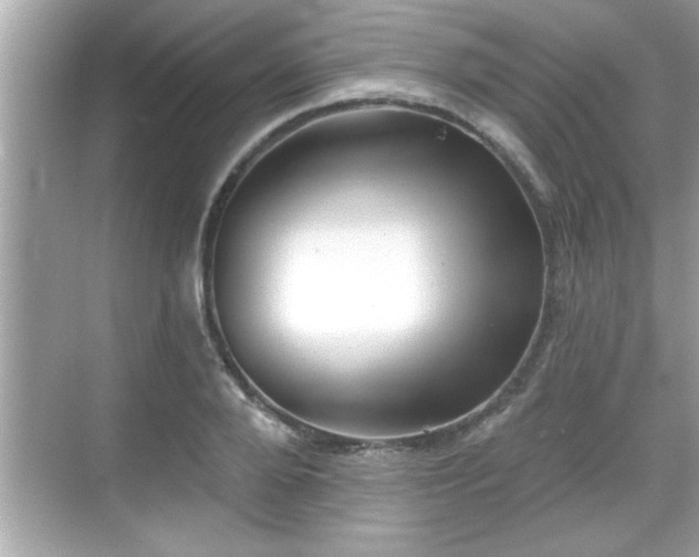 X0000069360888200605150913