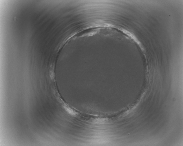 X0000069360889200605150913