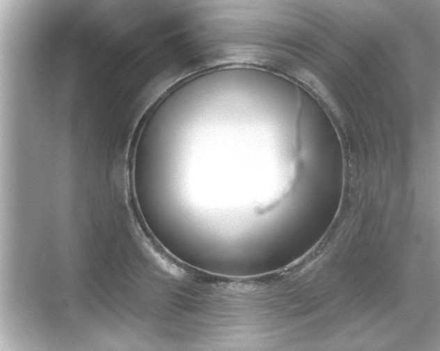 X0000069360890200605150913