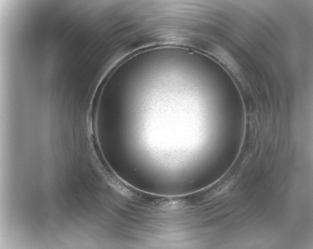 X0000069360891200605150913