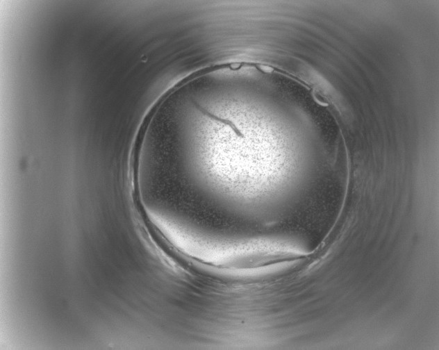 X0000069360892200605150913