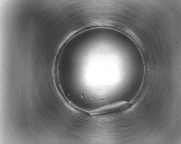 X0000069360893200605150913