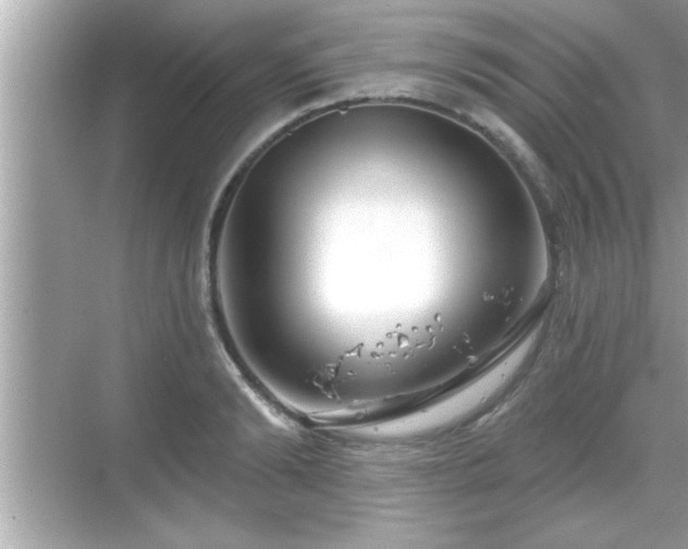 X0000069360894200605150913