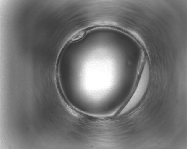 X0000069360895200605150913