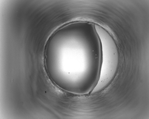 X0000069360896200605150913