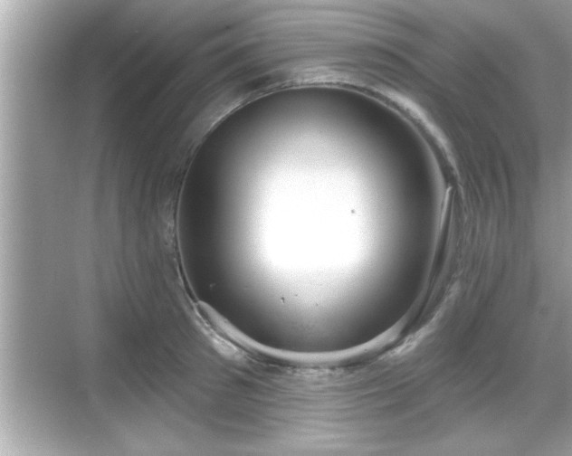 X0000069360897200605150913