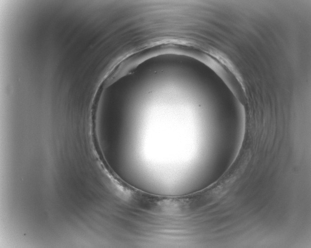 X0000069360898200605150913