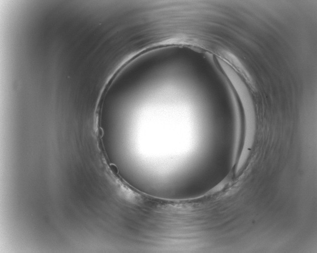 X0000069360900200605150913