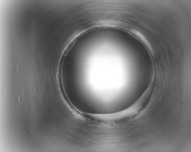 X0000069360901200605150913