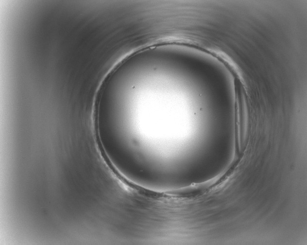 X0000069360902200605150913