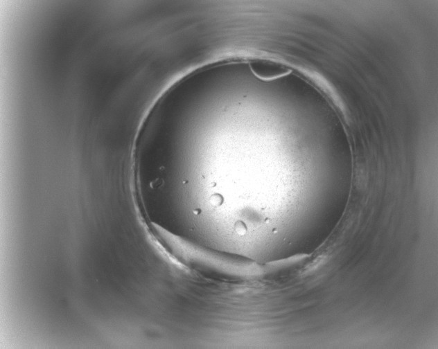 X0000069360903200605150913