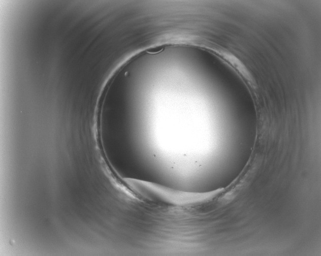 X0000069360904200605150913