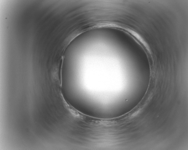 X0000069360905200605150913