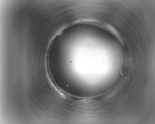 X0000069360906200605150913