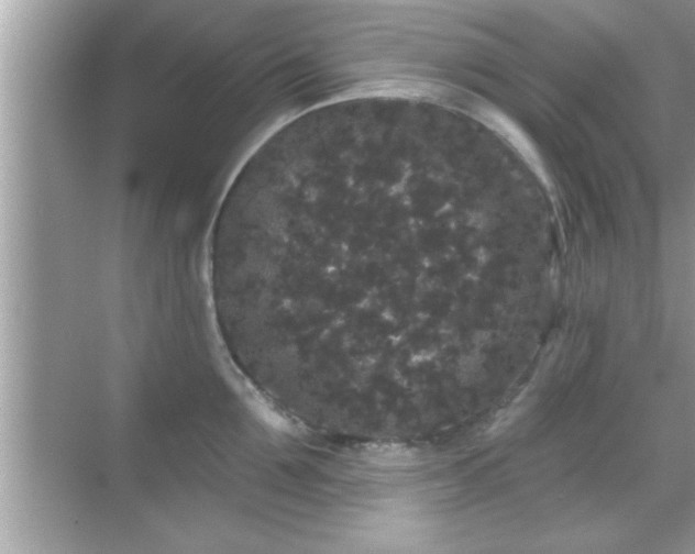 X0000069360907200605150913