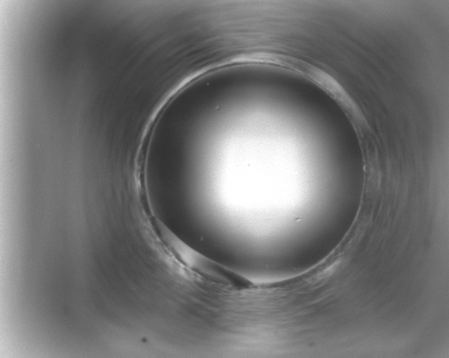 X0000069360908200605150913