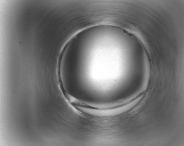 X0000069360910200605150913