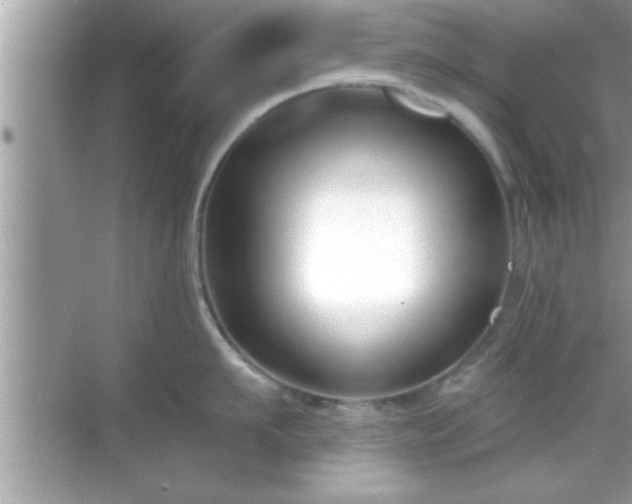 X0000069360911200605150913