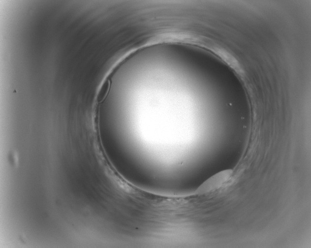 X0000069360912200605150913