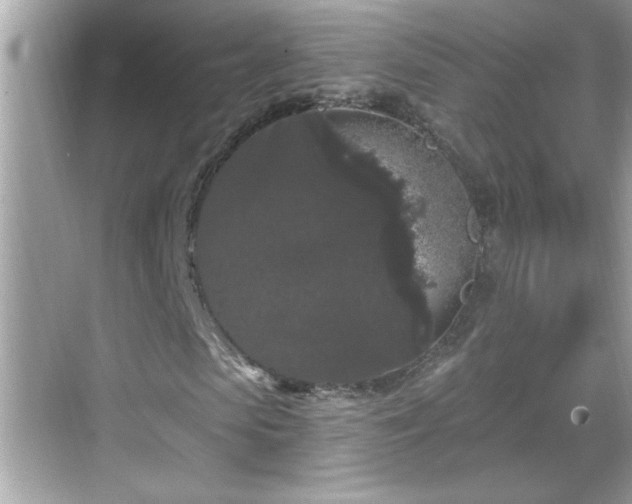 X0000069360913200605150912