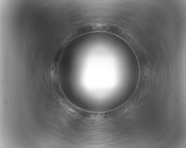 X0000069360914200605150912