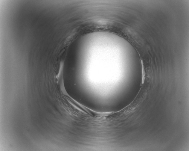 X0000069360916200605150912