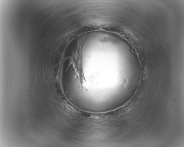 X0000069360917200605150912