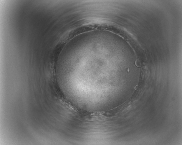 X0000069360918200605150912